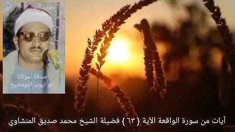 أفرءيتم ما تحرثون { ٦٣ } ءأنتم تزرعونه أم نحن الزارعون { ٦٤ } سورة الواقعة _ فضيلة الشيخ المنشاوي
