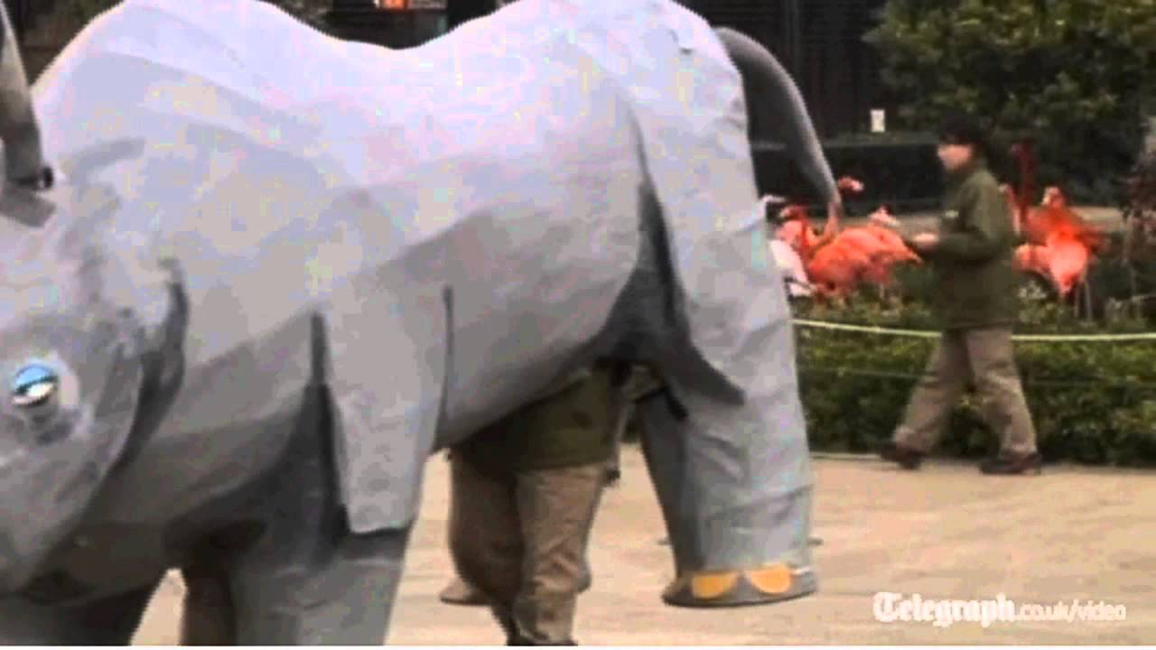 tactics primer fire emblem The Rhinoceros