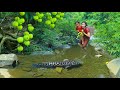 top video Survive baby boy - Son with Mother pick Apple Encounter big fish - Roast big fish eat