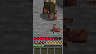 Appleskin (Mini Mod Reviews)  #minecraft