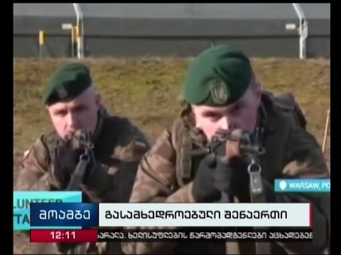 საქართველოსი შექმნილი ჯგუფი ცენტრალური აფრიკის რესპუბლიკაში