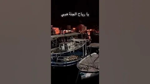 سيرى يا مراكب فينا حتى نحرر أرضينا 
