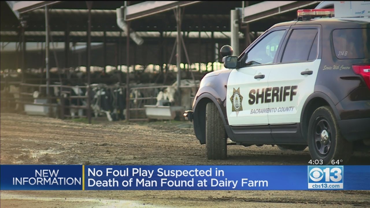 No Foul Play Suspected In Death Of Man Found At Dairy Farm - YouTube