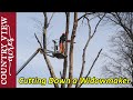 Cutting down a Widowmaker.  Rented a Man lift to make the job safer.