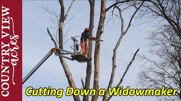 Cutting down a Widowmaker.  Rented a Man lift to make the job safer.