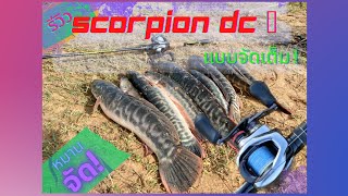 Shimano scorpion dc