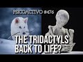 Joe Rogan asks Colossal lead scientist to bring the Nazca Tridactyls back to life - Psicoactivo #476