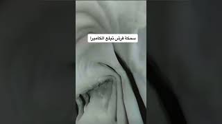 سمكه القرش تبلع الكيمرا ????