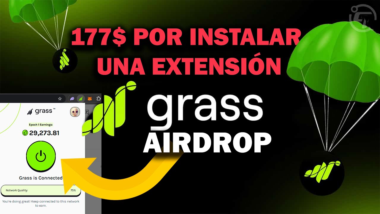 Grass: The Easiest Passive Income Opportunity of 2024? | by Sebastián  Fernández | Medium