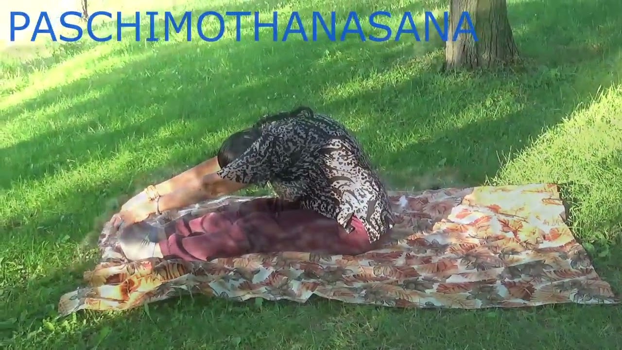 GOLDEN HOUR YOGA BY SENIOR COUPLES AT SHARON WOOD PARK USA