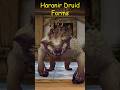 [Midnight BETA] WoW-visual [Haranir Druid Forms]