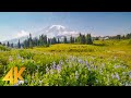 4K Smoky Hazy Sky over Reflection Lake Area, Mt. Rainier NP - Episode #2 - Short Preview Video