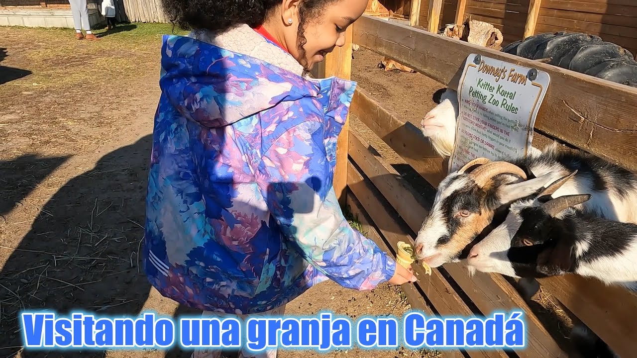 Visitando una Granja en CANADA YouTube