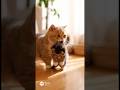親子ネコです😻 #cat #子ネコ #kitten #cute #cutecat #pets #ねこ #animals #kitty #癒し #love #好きな子猫 #ネコ