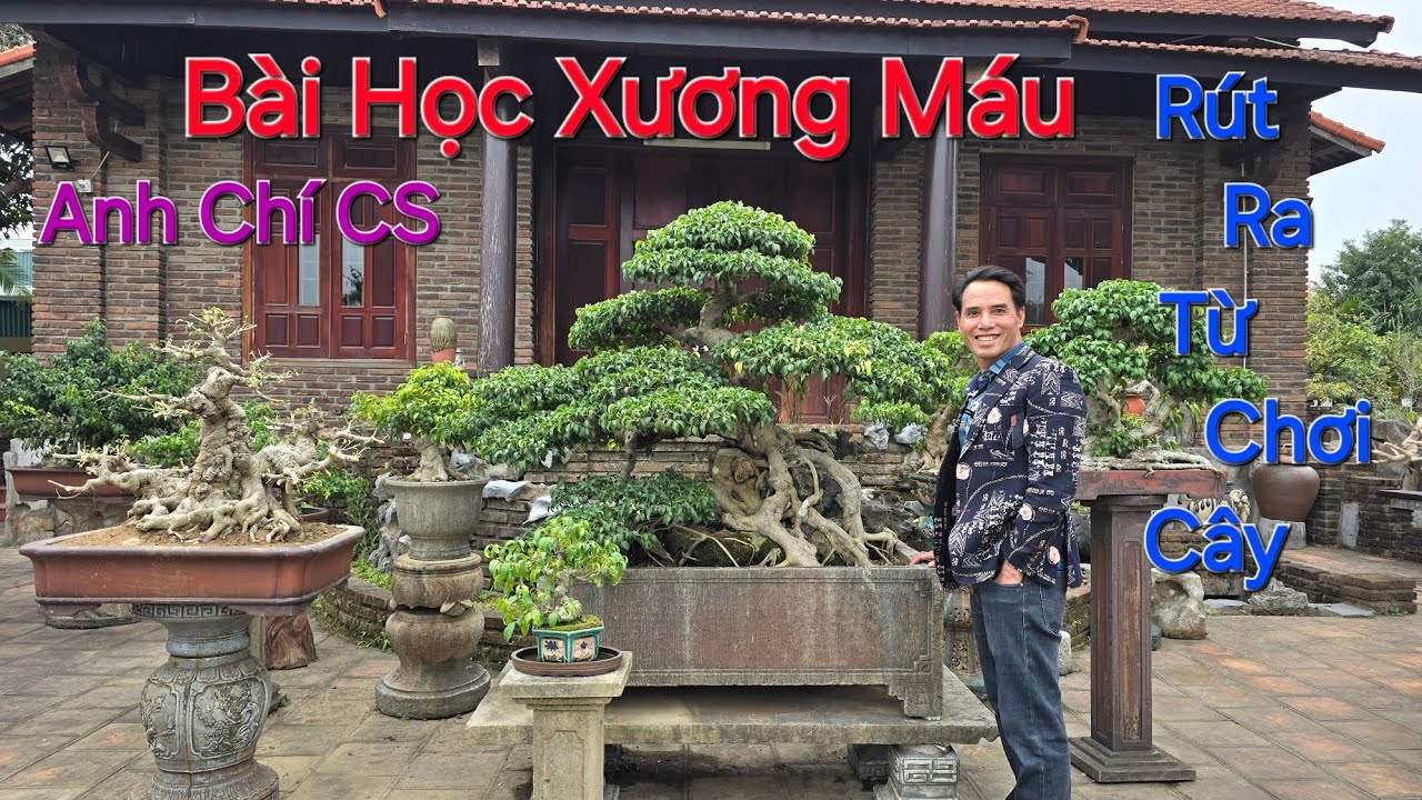 Anh CHÍ chia sẻ BÀI HỌC XƯƠNG MÁU trong chơi cây mà NHIỀU NGƯỜI MẮC PHẢI * Rất Hay & Hữu Ích *.