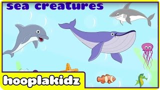 Watch more nursery rhymes collection http://vid.io/xcymhooplakidz
introduces interactive preschool videos for children to learn about
sea creatures in a fun ...