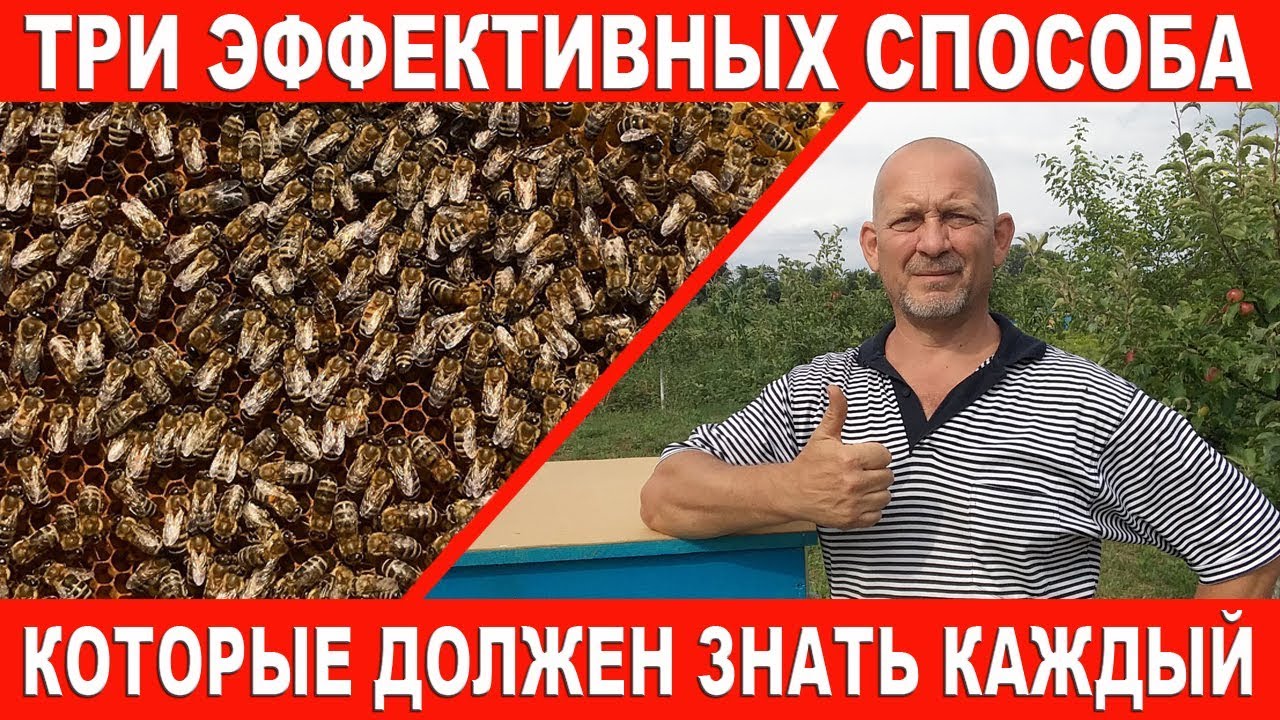 Три эффективных способа которые должен знать каждый!