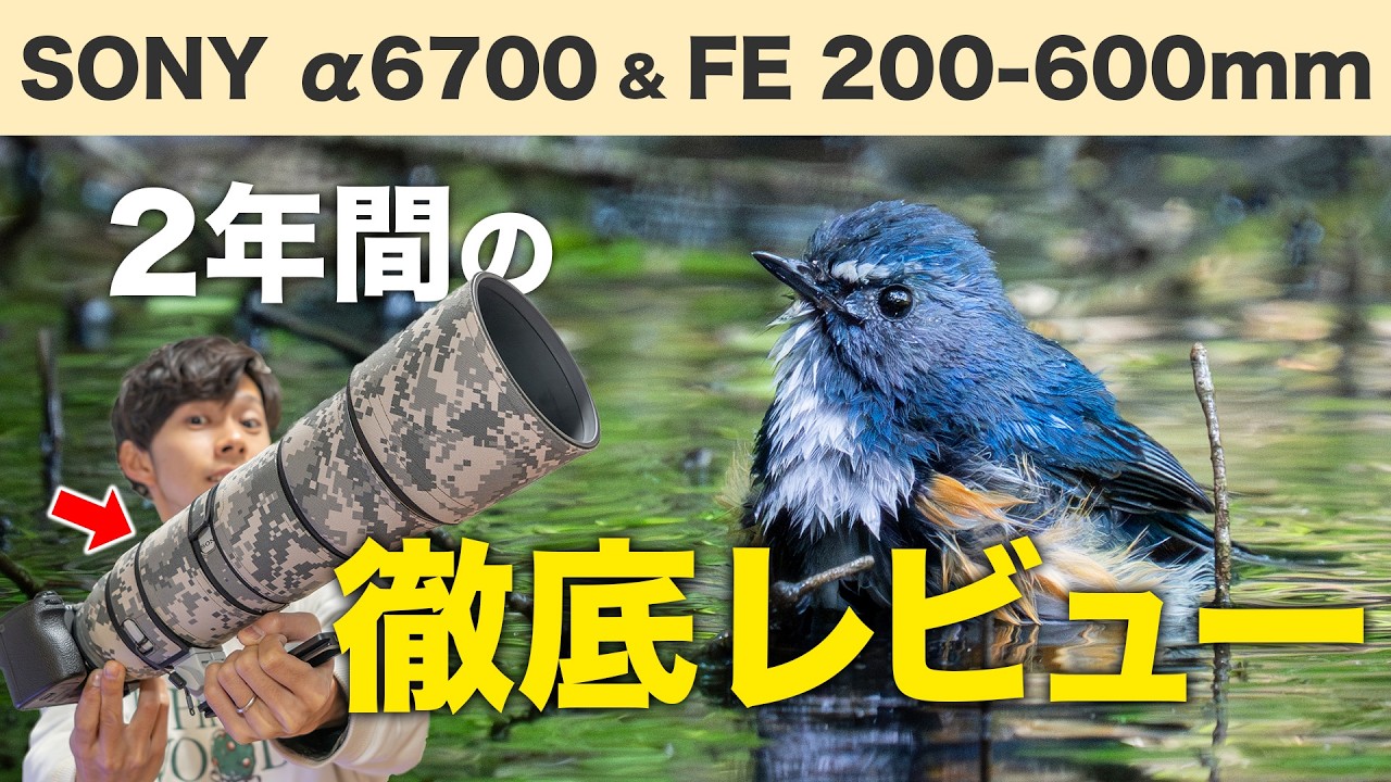 【忖度なし】SONY α6700と200-600で満足に野鳥撮影できるのか！2年間使った本音レビュー