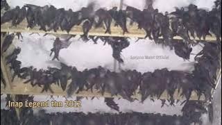Download Inap Walet Legend 2012