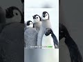 This brave little penguin helped its companions fend off enemies.