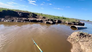 Apareció el SURUBÍ en este arroyito “Pesca y Cocina” PATI,MANDUVI,BAGRES y Atarraya