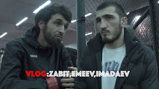 ЗАБИТ МАГОМЕДШАРИПОВ: О приезде Макгрегора, Яир Родригез, UFC Moscow