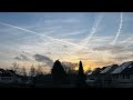 First Animal company vid (little test vid) #animalcompany #animalcompanyvr #vr #firstvideo