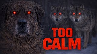 Why Predators Avoid Goats When the Guardian Dog Looks Relaxed (Calm Dogs Win)