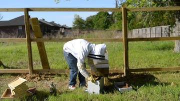 Installing my first Nucleus Hive