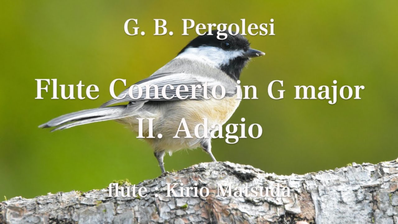 Flute Concerto in G major II. Adagio（G. B. Pergolesi）flute Kirio
