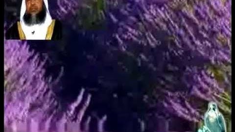قراءة حجازية نادرة للشيخ محمد أيوب ـ سورة التحريم