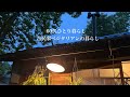 【古民家暮らしのvlog 】新たな記憶を紡ぐ日々/豆尽くし/猫
