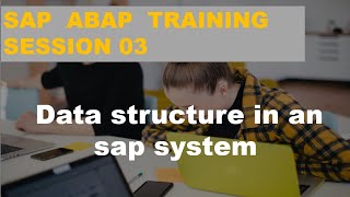 SAP ABAP TRAINING  Session 03   Data Structure in an SAP System