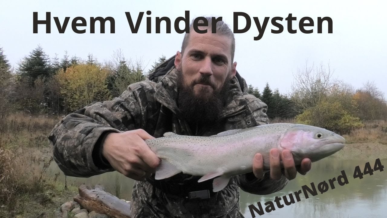 NaturNørd 444. Fiske konkurrence i min egen sø.