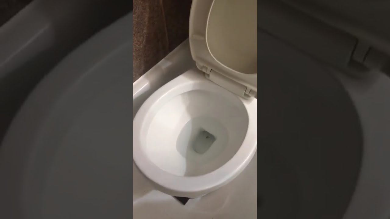 2010 Glacier Bay toilet with 1984 Orion tank YouTube
