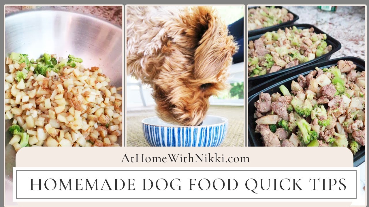 Homemade Dog Food Quick Tips YouTube