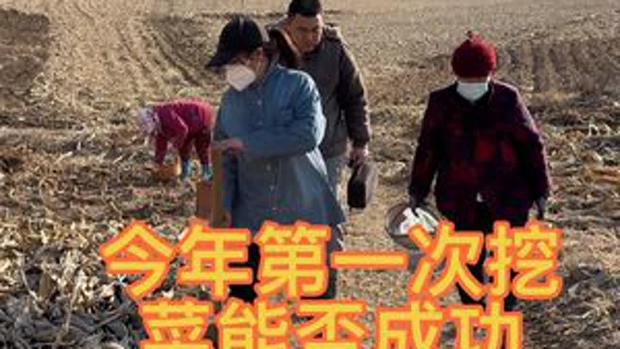 挖野菜的快乐谁能懂啊 #我的乡村生活 #记录我的农村生活 #农村美食@DOU+小助手