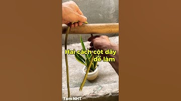 Hai cách cột dây cơ bản dể làm #knot #meovatcuocsong #chiasekinhnghiem