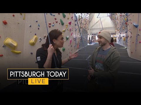 Axis Labs Cbd Gummies [t3OoznRNbL]