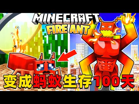 我的世界：变成蚂蚁在MC中生存100天！