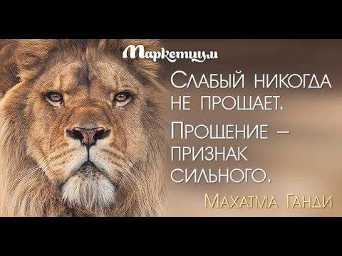 2170 самых популярных роликов