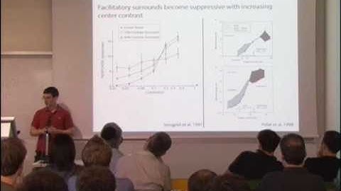 Non-linear inhibition-stabilized networks explain non-linearity in the V1 response