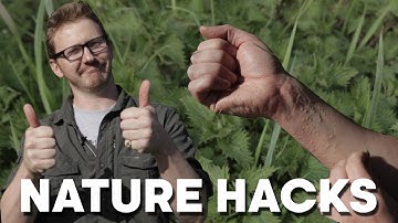 Nature Hacks: How to Soothe a Nettle Sting | BBC Earth Explore