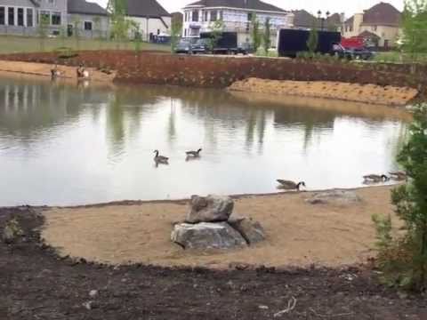 Le Domaine des Berges - Green Space Details - Sainte Dorothee Laval