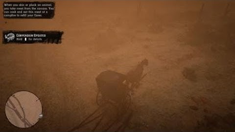 [RDR2] TIPS TRICKS // NeW AuStin HuNting | Moderate Sized AniMaLs