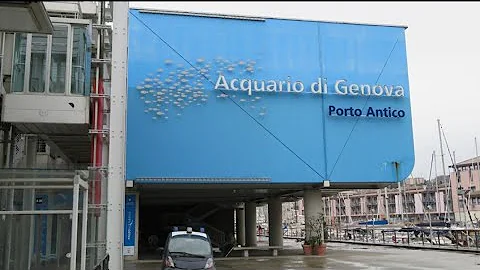 Quanto costa l'ingresso dell'acquario di Genova?