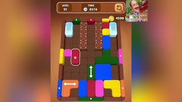Wood Escape Color Block Level 91