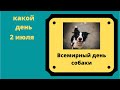 Какой день 2 июля - День собаки