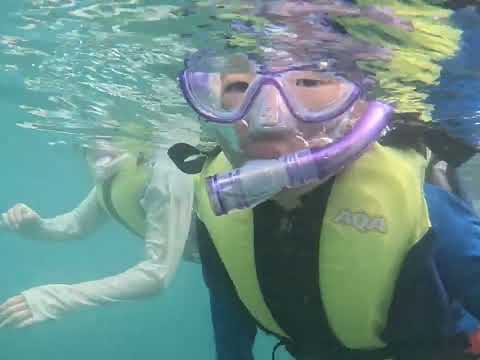 千葉県館山市・沖ノ島海水浴場でシュノーケリング体験|ツノダシやカラフルな魚たちと泳ぐ絶景スポット!