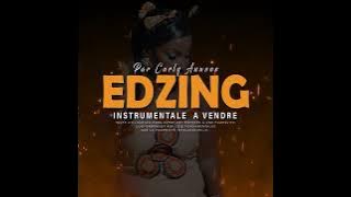 EDZING - AFROBEAT INSTRUMENTALE  (TYPE J'RIO FEAT ESPOIR LA TIGRESSE)